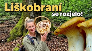 Konečně mi začalo liškobraní. Houbaření na Karlovarsku 1.7.2026