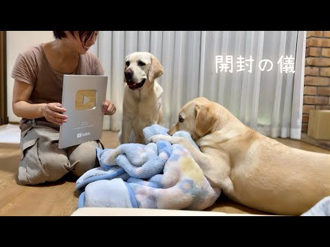 色々やっと開封しました!