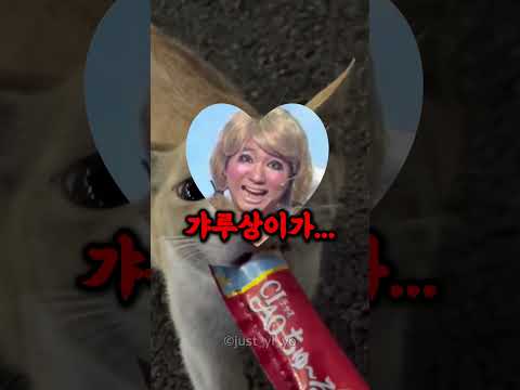 <strong>츄르</strong> 하나에 잔소리 1시간 듣기ㅋㅋ