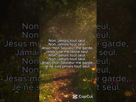 Ne crains rien je t'aime (Cover) | Partie 4#relaxingmusic #music #sunset #love