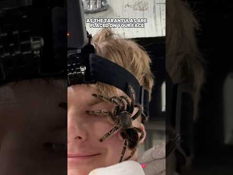 I Tried Americas Most Intense Fright Experience