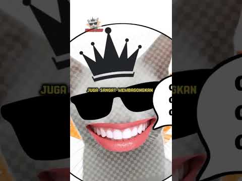 inilah 3 vidio yang jangan kalian cari di YouTube 😱