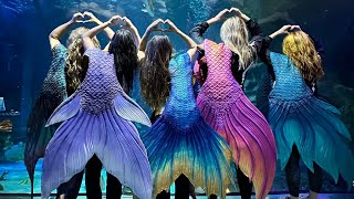 Visiting Sealife Orlando as a Wands and Wishes Mermaid ✨🧜‍♀️