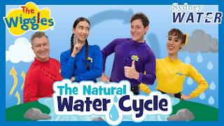 The Natural Water Cycle 💧 The Wiggles + Sydney Water