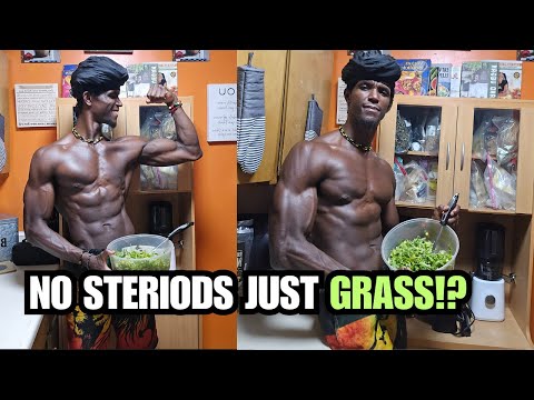 Top 5 HIGH plant based vegan protein sources you wont believe! | SOY FREE!