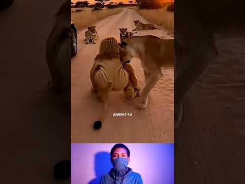 wait for end #montagem #kris