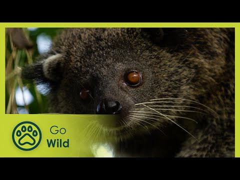 YouTube video thumbnail: Philippines: Islands of Mystery