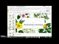 Horticulture Project Guidelines and Requirements