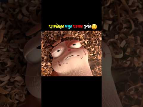 হ্যামস্টারের ময়ূর হওয়ার চেষ্টা🤯🤣 #cartoon #shorts