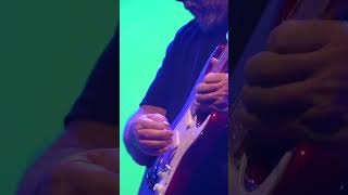 Pink Floyd's Echoes - Live Cover by Echoes of Pink Floyd