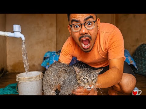 I Tried Bathing a Ziddi Cat. | Sikkim, India