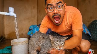 I Tried Bathing a Ziddi Cat. | Sikkim, India