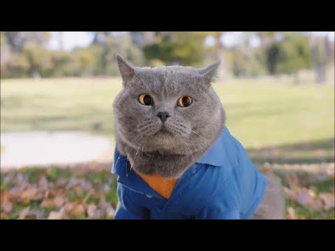 Aaron's Animals NEW VIDEO COMPILATION 2021
