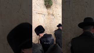 Jews praying at the Western Wall in the Old City of Jerusalem, Israel, 2026