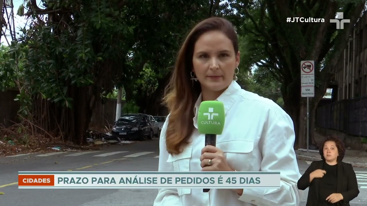 Nova lei autoriza poda de árvores por particulares em situações de risco