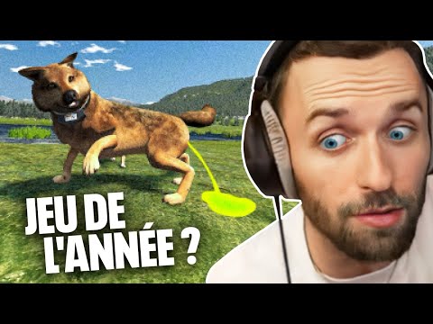 C'EST LE MEILLEUR JEU DE L'ANNÉE (WolfQuest: Anniversary Edition)
