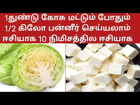 1துண்டு கோசு மட்டும் போதும் 1/2 கிலோ பன்னீர் செய்யலாம் ஈசியாக 10 நிமிசத்தில #cabbage #panner #new