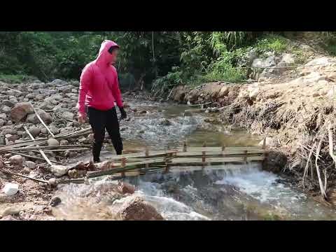 Using Bamboo Knitting Nets To Block The Line Catching Many Fish, Ancient Smart Fishing Skills