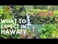 Hawaii Travel Tips and Insights
