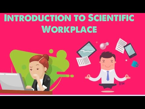 how to use scientific workplace 6