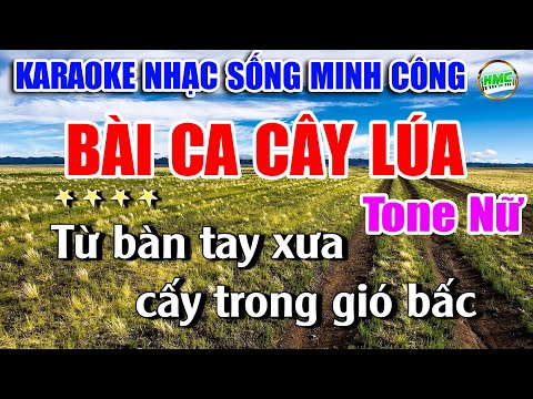 Karaoke Hát Về Cây Lúa Hôm Nay Tone Nữ | Nhạc Sống Tuyển Chọn 2025 Cực Hay Và Dễ Hát