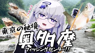 【奥多摩】初夏の秘境、竹竿で釣って食べるニジマスが最強すぎた【VEE/亞生うぱる】