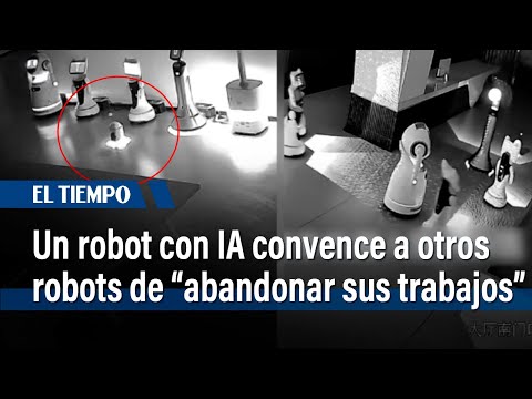 El momento en el que un robot con IA convence a otros robots de "abandonar sus trabajos" | El Tiempo