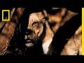 Narrator's Emotional Journey with Nature