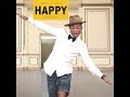 Understanding Happiness
