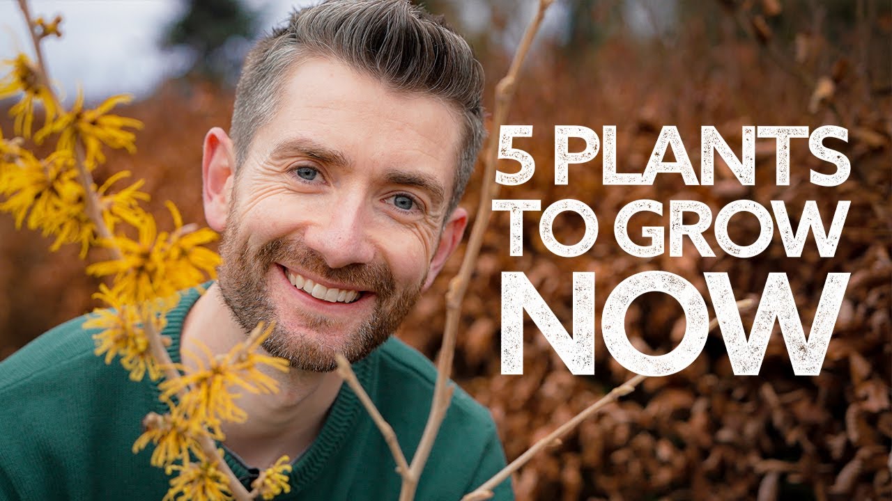 What to Grow in February | Not Your Usual What to Sow & Grow Video!