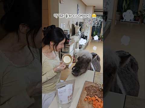 기미상궁 벌을 받아랏!!!🦄❤️🔥Don't eat alone🍶😡