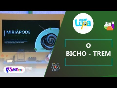 O BICHO-TREM - SUPER LUPA