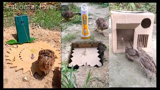 New Amazing Trap -DIY quail trap #ytshorts