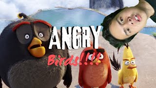 BURUNG SUKA MARAH #angrybirds