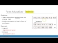 Understanding DNA Mutations and Their Effects