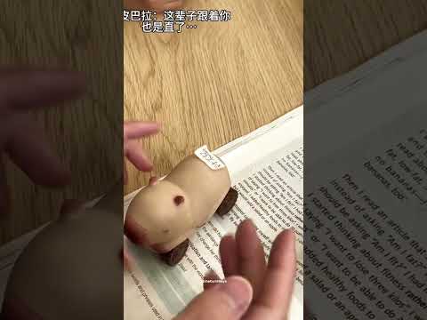 She have Unbreakable Toy! #shortvideo