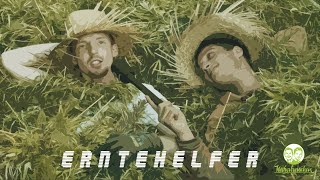 Cannabis Erntefestival - Mollywood & Die Naturburschen energetisieren CBD-Erntehelfer