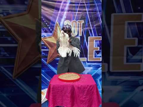 Best of mrjokercomedy on AGT 😱 part 33 #funny #americasgottalentseason16 #britainsgottalent #agt