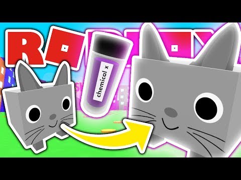 Pet Simulator Huge Cat Code 07 2021 - how to buy a cat plushie with code in roblox