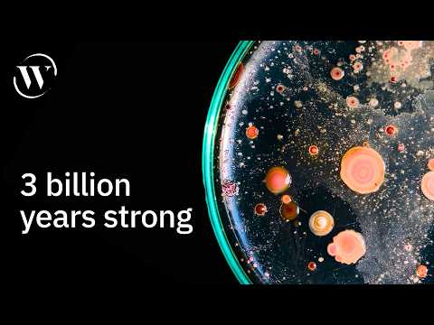 Meet the survivors of Earth’s worst days | Betül Kaçar