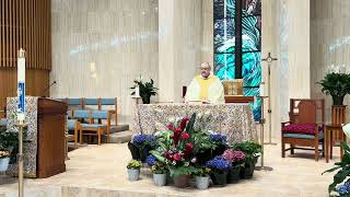 Our Lady Star of the Sea, NSB (4/26/26) 4th Sunday of Easter: Good Shepherd Sunday 