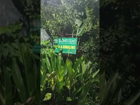 Mở Tiệm Giặt đầu tư ít đã thắng 1 nửa rồi