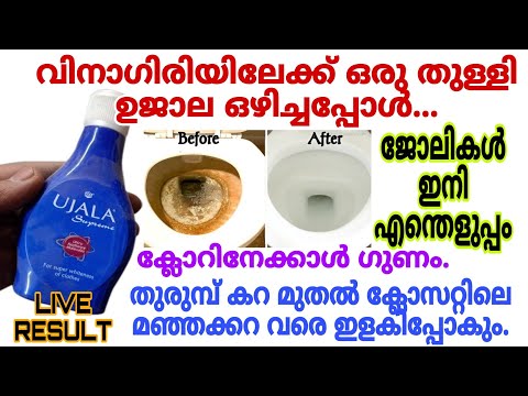 തുരുമ്പ്കറ മുതൽ ക്ലോസറ്റിലെ മഞ്ഞക്കറവരെ മാറ്റിയെടുക്കാൻ ഇത് ഒരു തുള്ളിമതി|പുതിയസൂത്രം|Easy cleaning