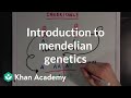 Exploring Mendelian Genetics and Inheritance