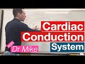 Heart Electrical Conduction and Function