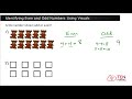 Identifying Even and Odd Numbers Through Visuals