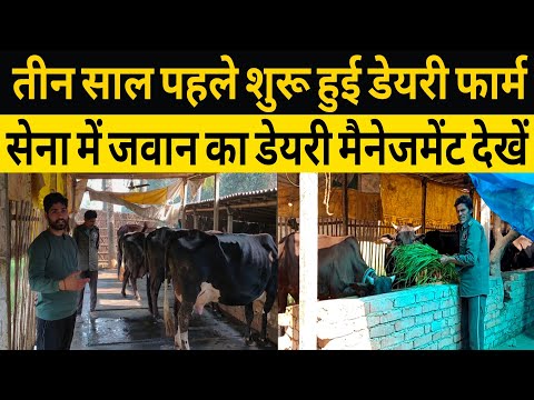 3 साल पहले शुरू हुई डेयरी फार्म का मैनेजमेंट देखें/dairy farming 2025/best dairy management ||