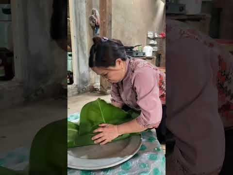 Rừng nguyên sinh có gì ? #dirung #mang #thaoduoc #chongdoi #thaoduocdantoc #balaithaoduocdantoc