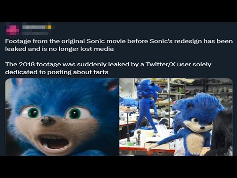 Never Underestimate the Sonic Fanbase