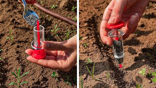Special Garden hacks to make your Plants healthy and big